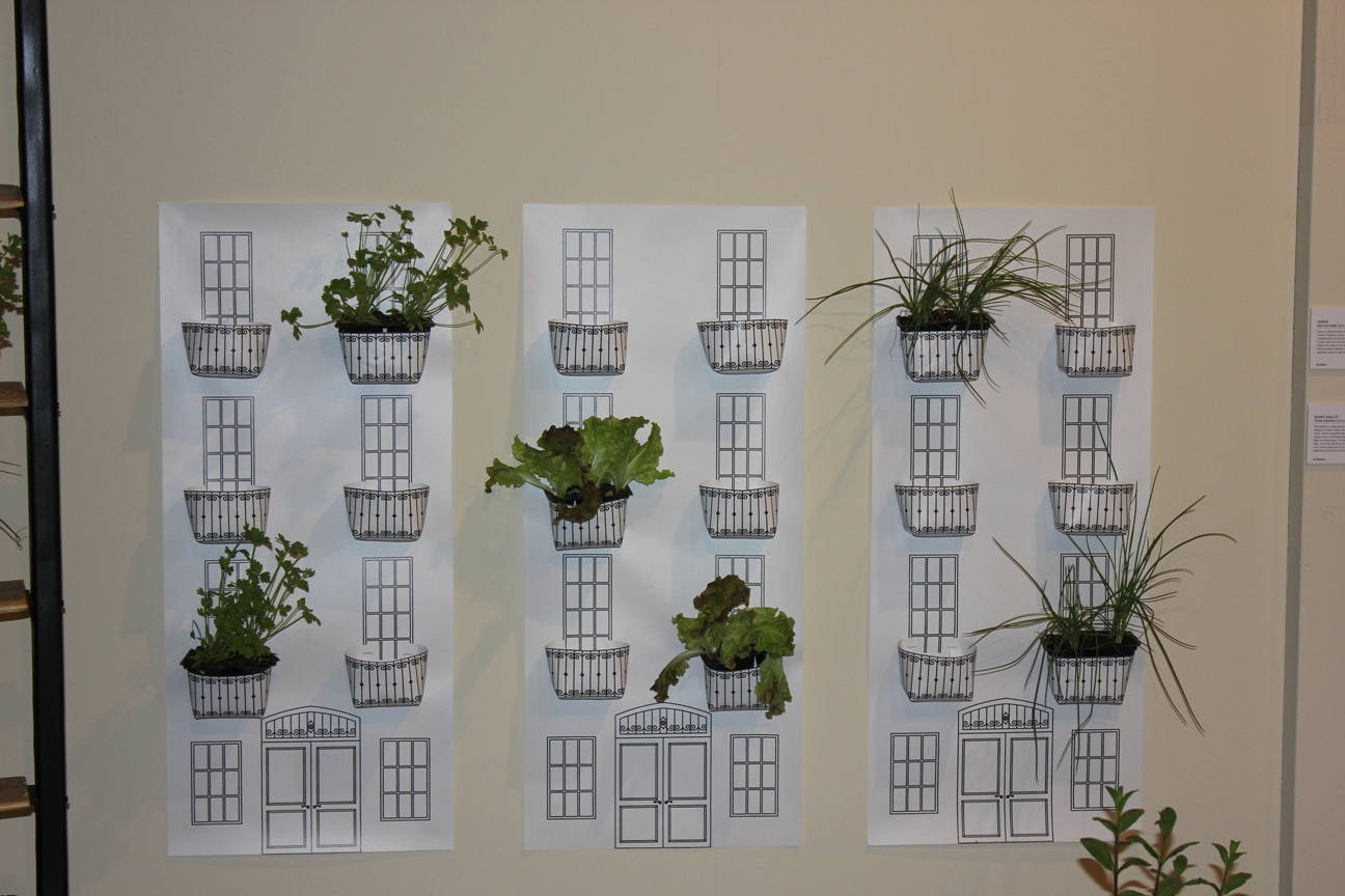 (almost) DIY plants at home